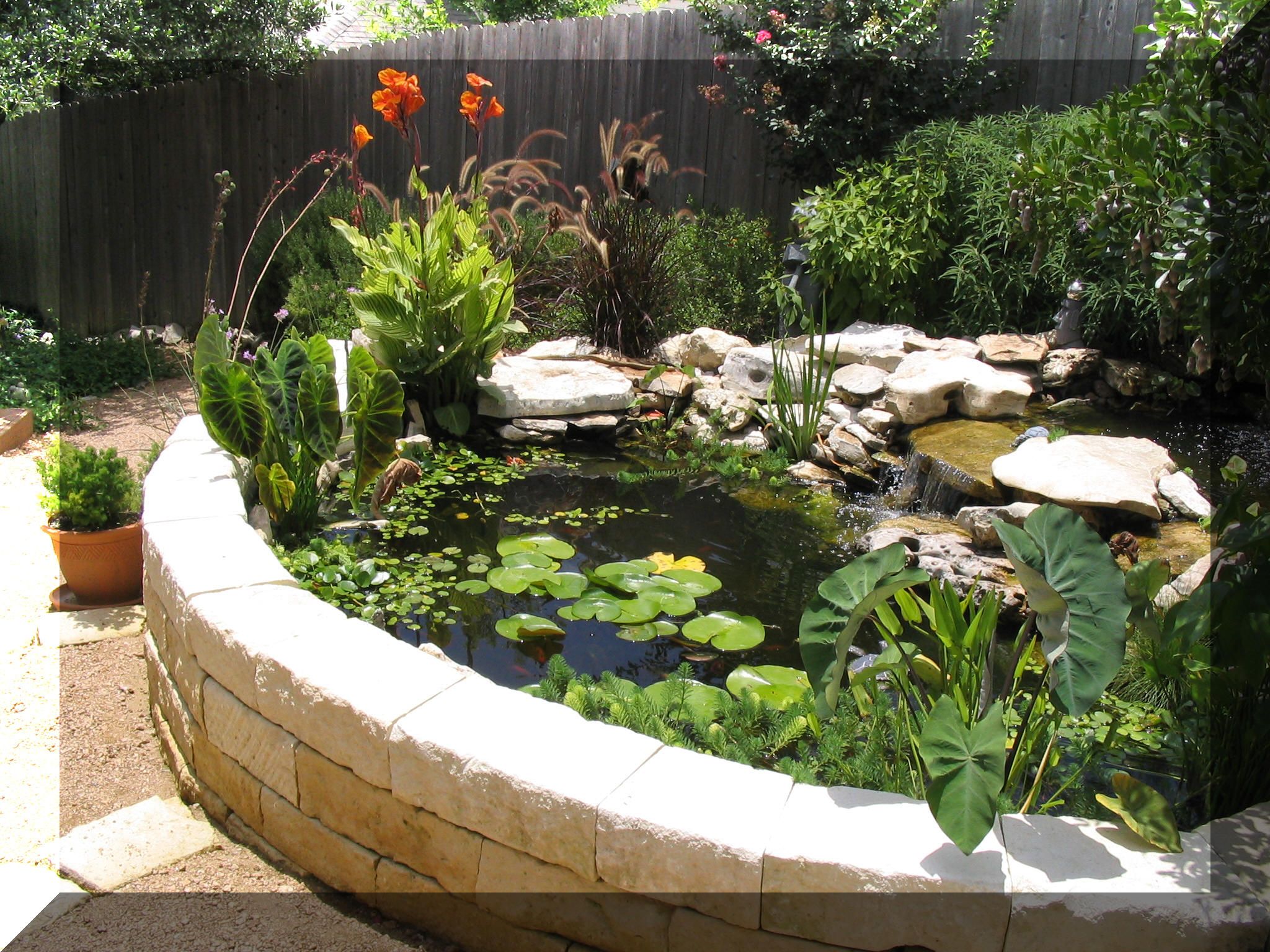 Why Every Beautiful Outdoor Area Needs A Fish Pond To Match