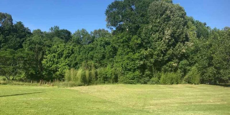 Get to know in detail about Land for sale attala county Mississippi